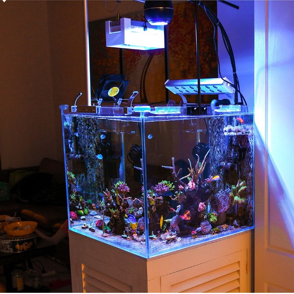 Aquarium Blue Marine Reef - 80W Full Spectrum Led Lights Sea
