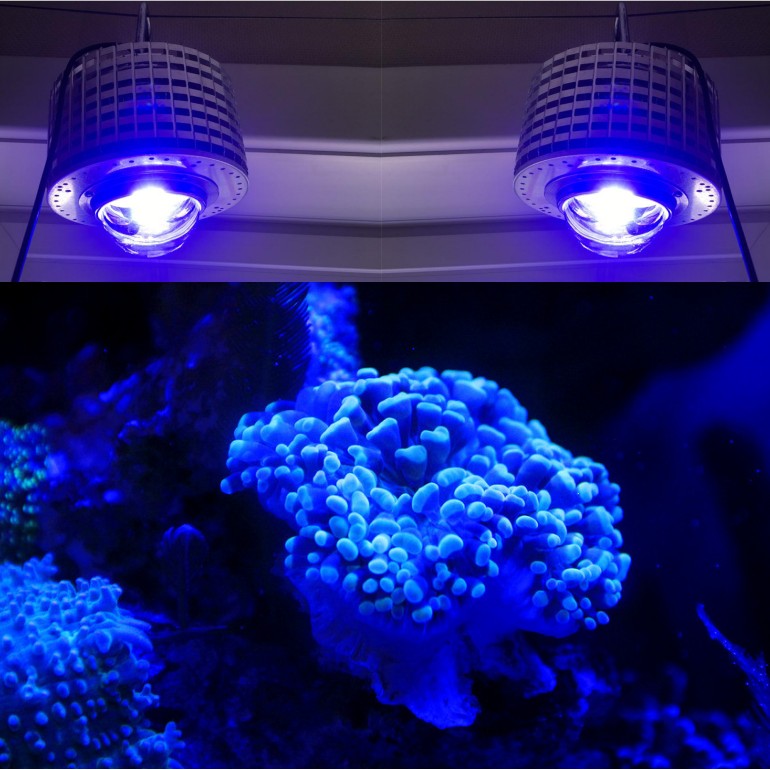 Aquarium Blue Marine Reef - LED Aquarium Lighting Full Spectrum, 100W,