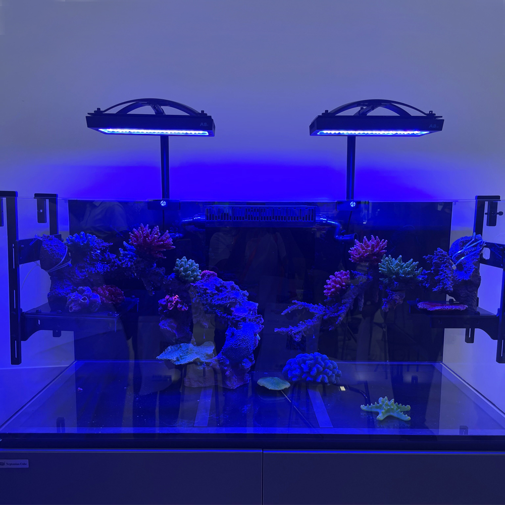 Wifi APP 240W A8 PRO Blue MAX  - Aquarium Blue Marine Reef avis et prix