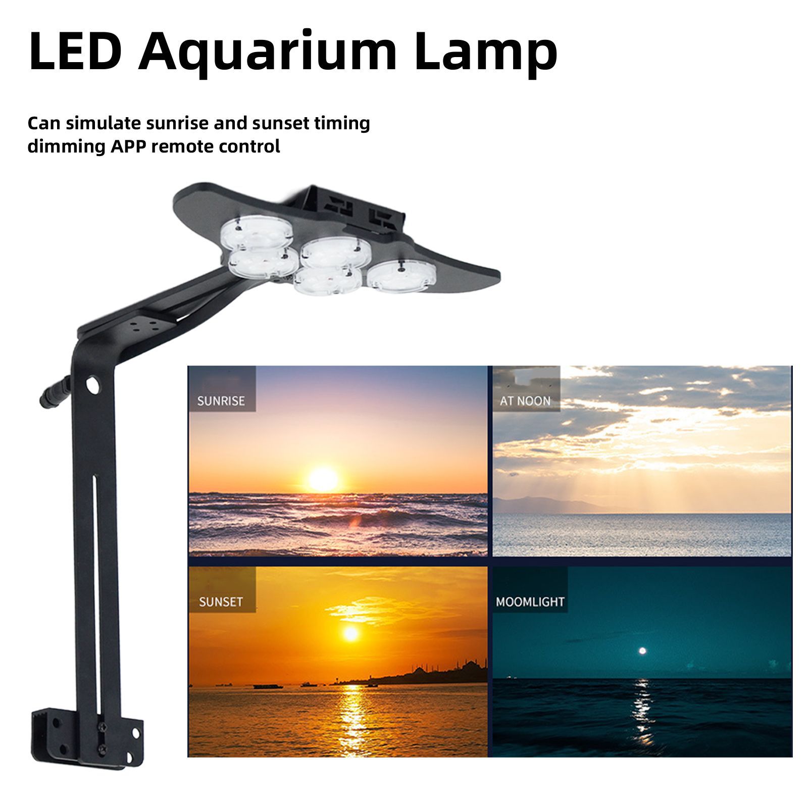 LED Marine Aquarium Coral Aqua - Marine Aquarium & Regional Centre avis et prix