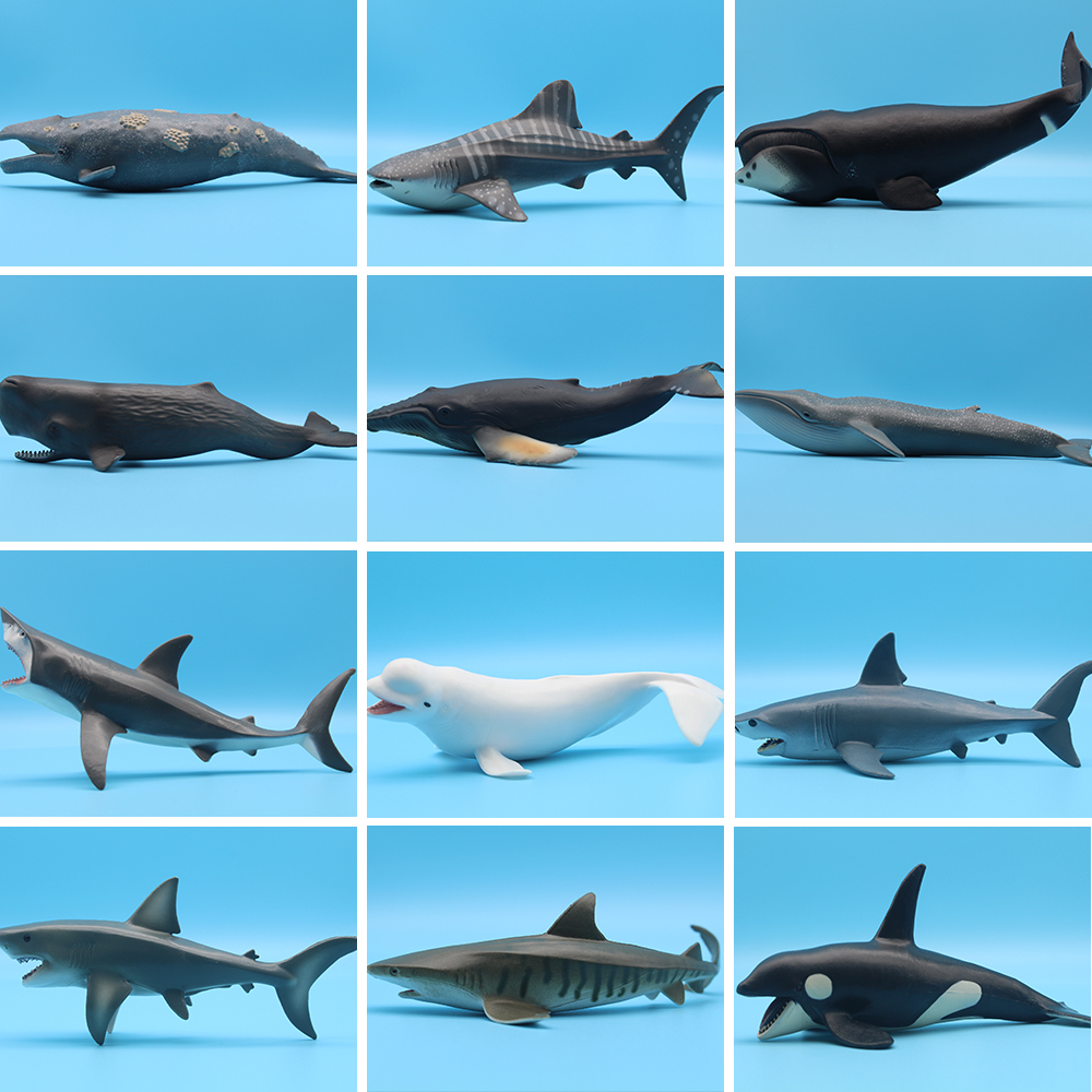 Ocean Sea Life Simulation Kill - Aquarium Blue Marine avis et prix