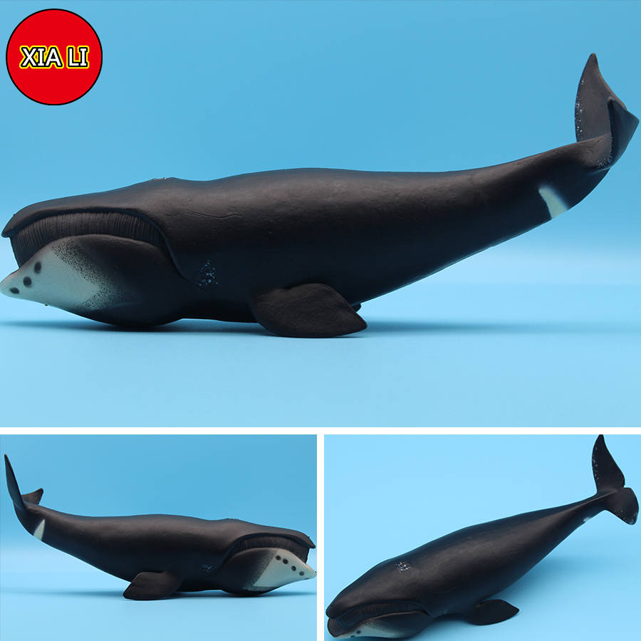 Ocean Sea Life Simulation Kill - Aquarium Blue Marine avis et prix