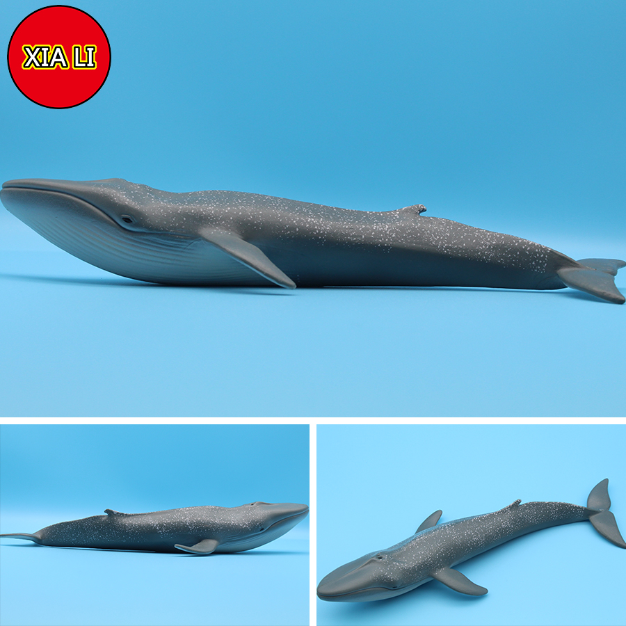 Ocean Sea Life Simulation Kill - Aquarium Blue Marine avis et prix