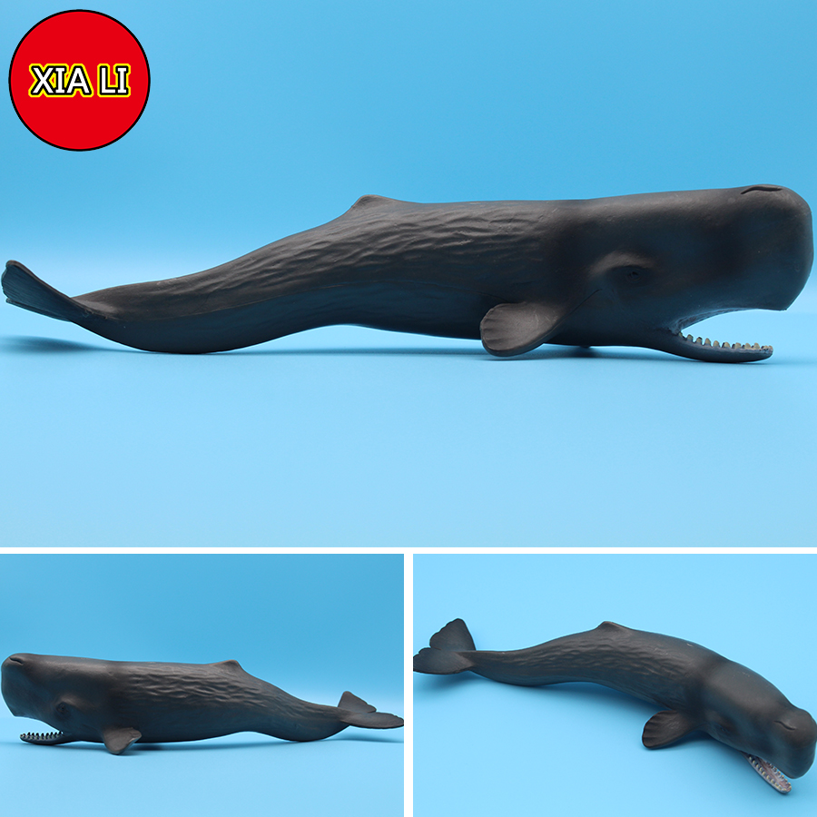 Ocean Sea Life Simulation Kill - Aquarium Blue Marine avis et prix