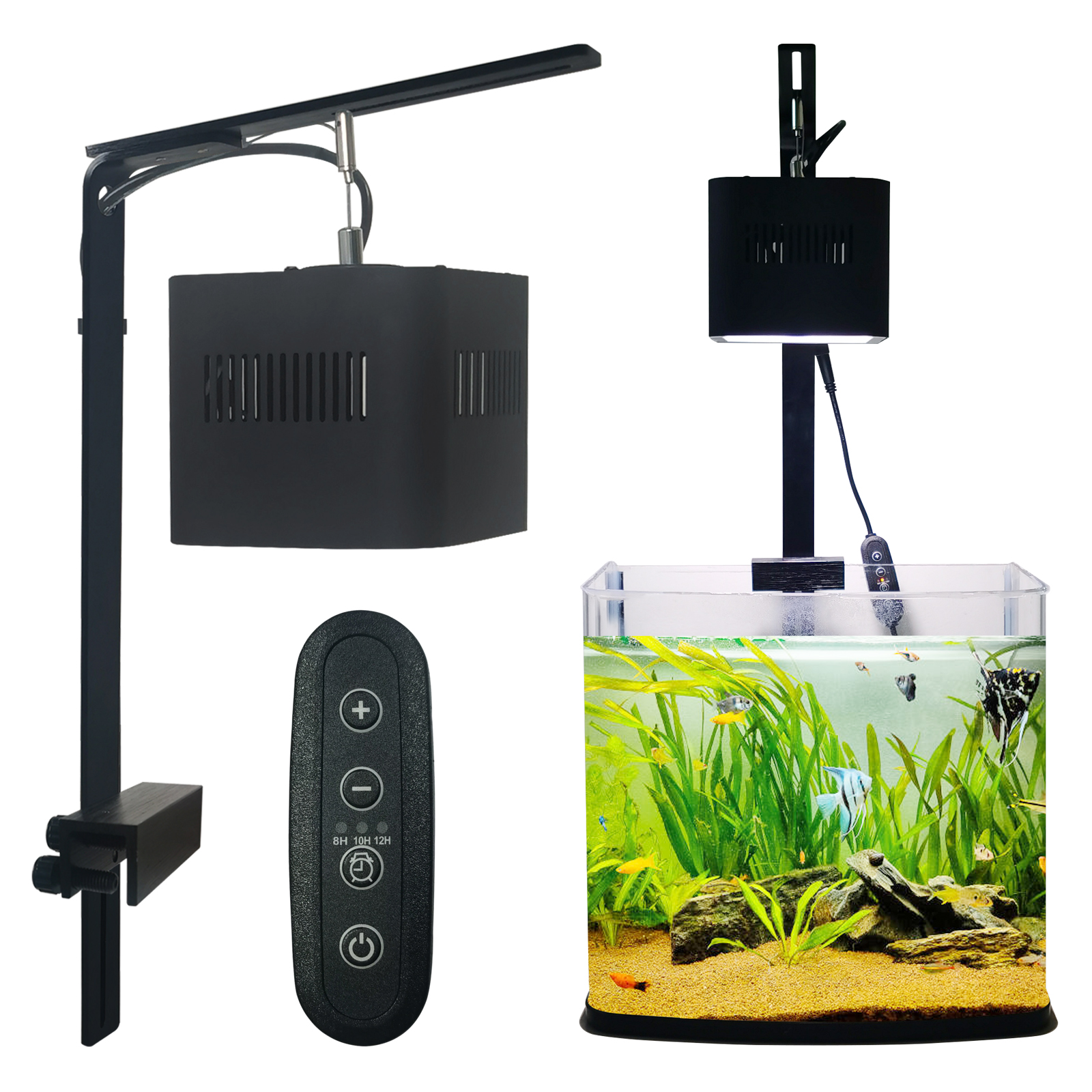 8H 10H 12H Timer Panel Reef Ma - Aquarium Blue Marine Reef avis et prix