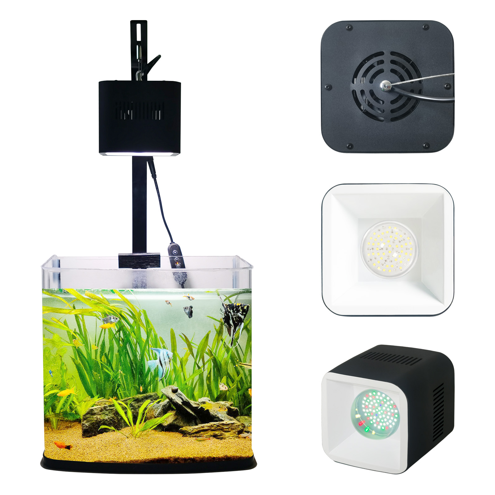 8H 10H 12H Timer Panel Reef Ma - Aquarium Blue Marine Reef avis et prix
