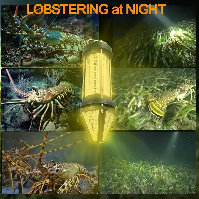 NS Green Blue White Yellow Out - Aquarium Blue Marine avis et prix