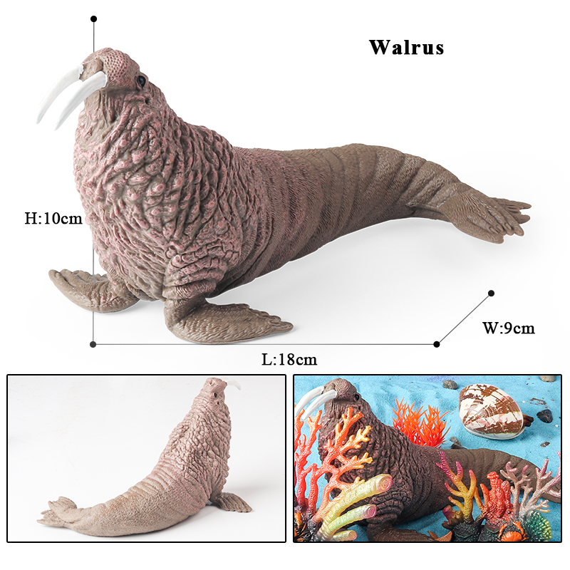 Oenux New Sea Life Seal Sea li - Aquarium Blue Marine avis et prix