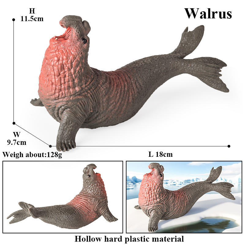 Oenux New Sea Life Seal Sea li - Aquarium Blue Marine avis et prix