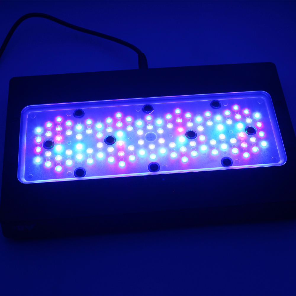 A8SE pro II MAX Blue 240W Mari - Aquarium Blue Marine Reef avis et prix