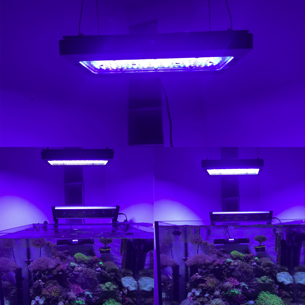 A8SE pro II MAX Blue 240W Mari - Aquarium Blue Marine Reef avis et prix