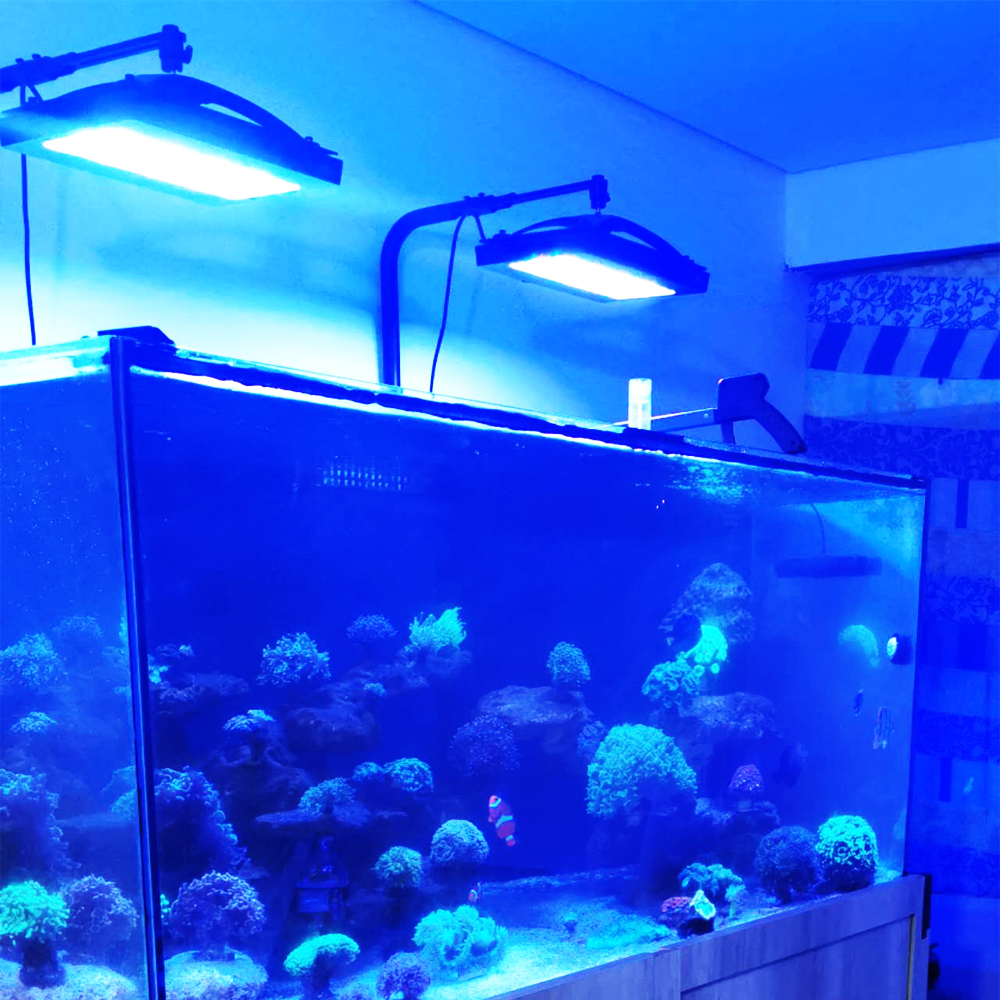 A8SE pro II MAX Blue 240W Mari - Aquarium Blue Marine Reef avis et prix
