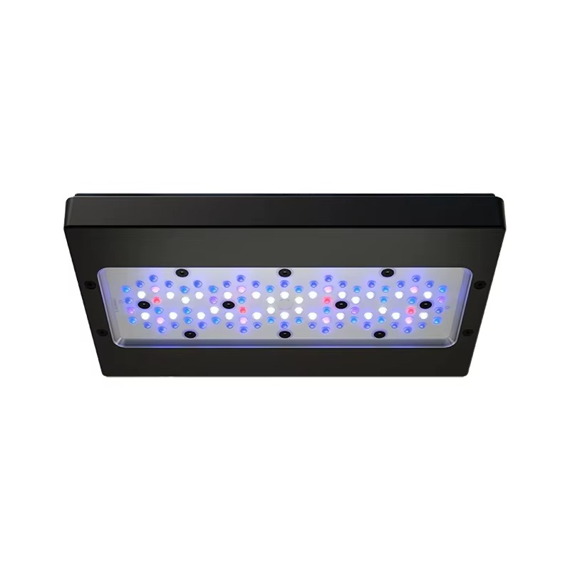 A8 Pro Blue 215W AC 110-240V W - Aquarium Blue Marine avis et prix