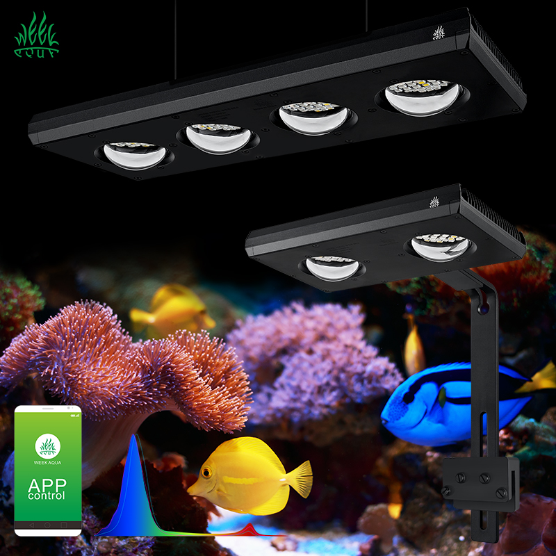 ZXY Hot Sale WEEKAQUA Z250 Z40 - Aquarium Blue Marine Reef avis et prix