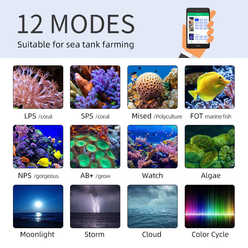 ZXY Hot Sale WEEKAQUA Z250 Z40 - Aquarium Blue Marine Reef avis et prix