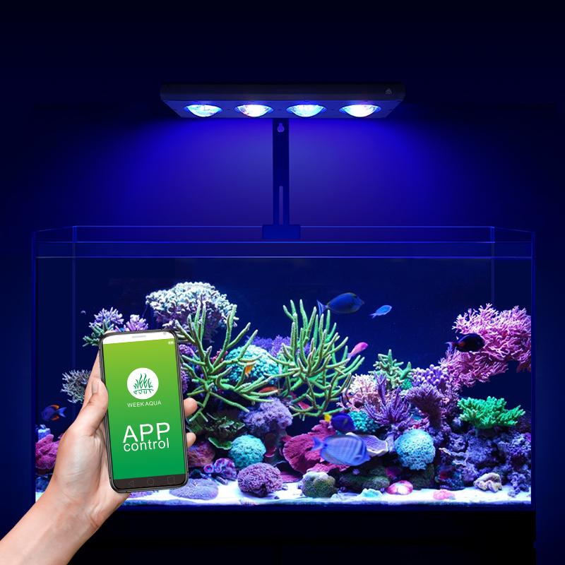 ZXY Hot Sale WEEKAQUA Z250 Z40 - Aquarium Blue Marine Reef avis et prix