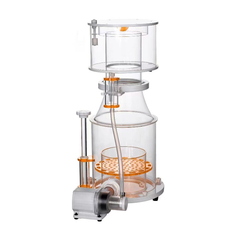【Best-selling】DC Powered Preci - Marine Aquarium & Regional Centre avis et prix
