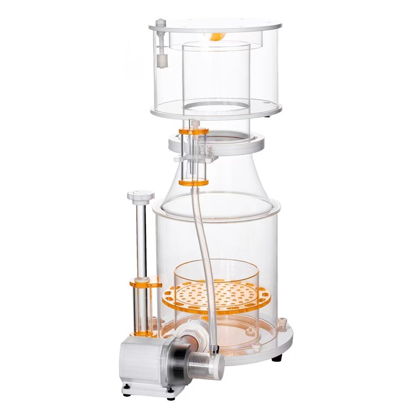 【Best-selling】DC Powered Preci - Marine Aquarium & Regional Centre avis et prix