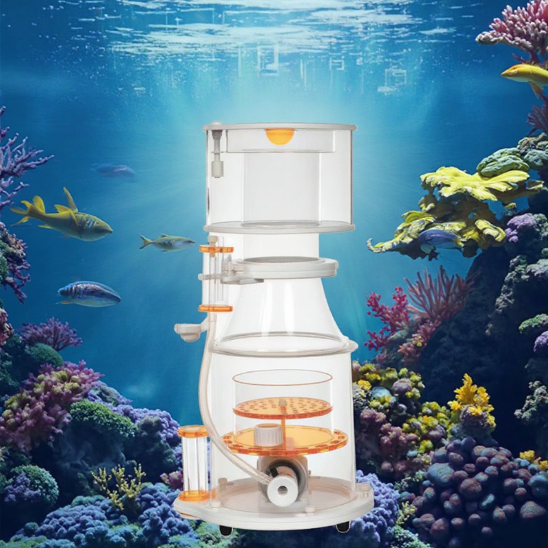 【Best-selling】DC Powered Preci - Marine Aquarium & Regional Centre avis et prix