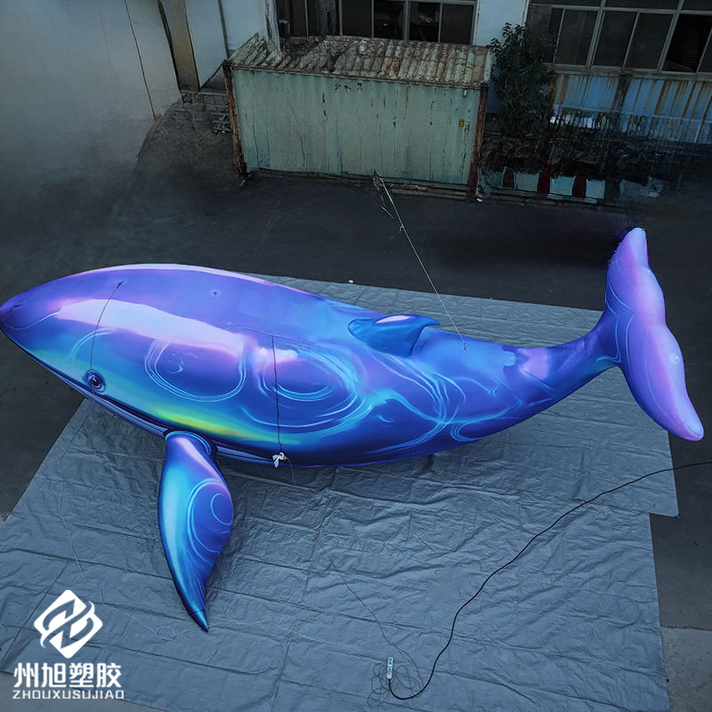 Inflatable blue whale, used as - Aquarium Blue Marine avis et prix