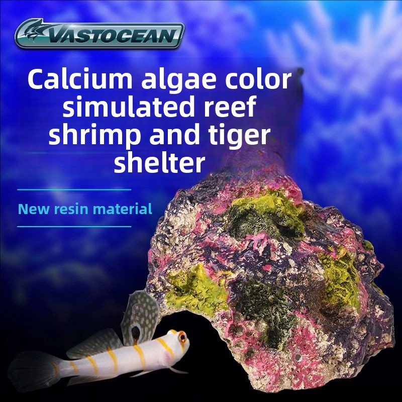 VASTOCEAN Saltwater Aquarium C - Marine Aquarium Hermit Crab avis et prix