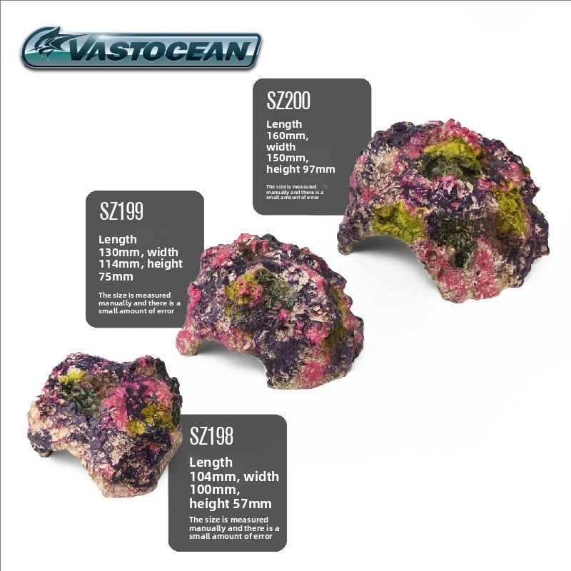 VASTOCEAN Saltwater Aquarium C - Marine Aquarium Hermit Crab avis et prix