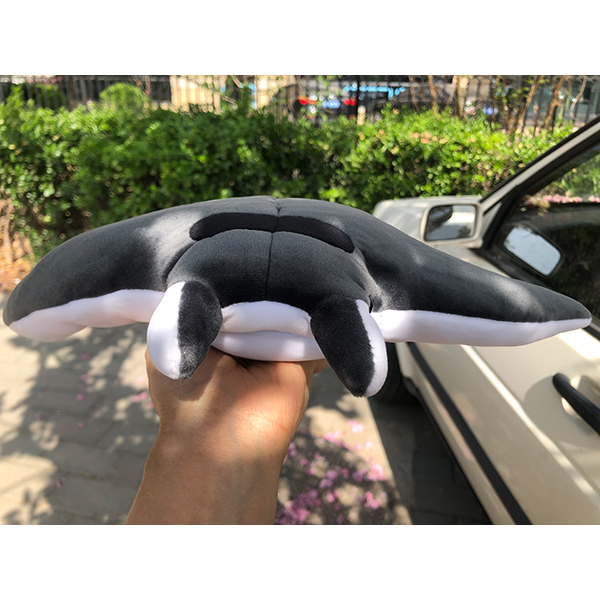 Aquarium Devil Fi Furry Toy Ma - Marine Aquarium & Regional Centre avis et prix