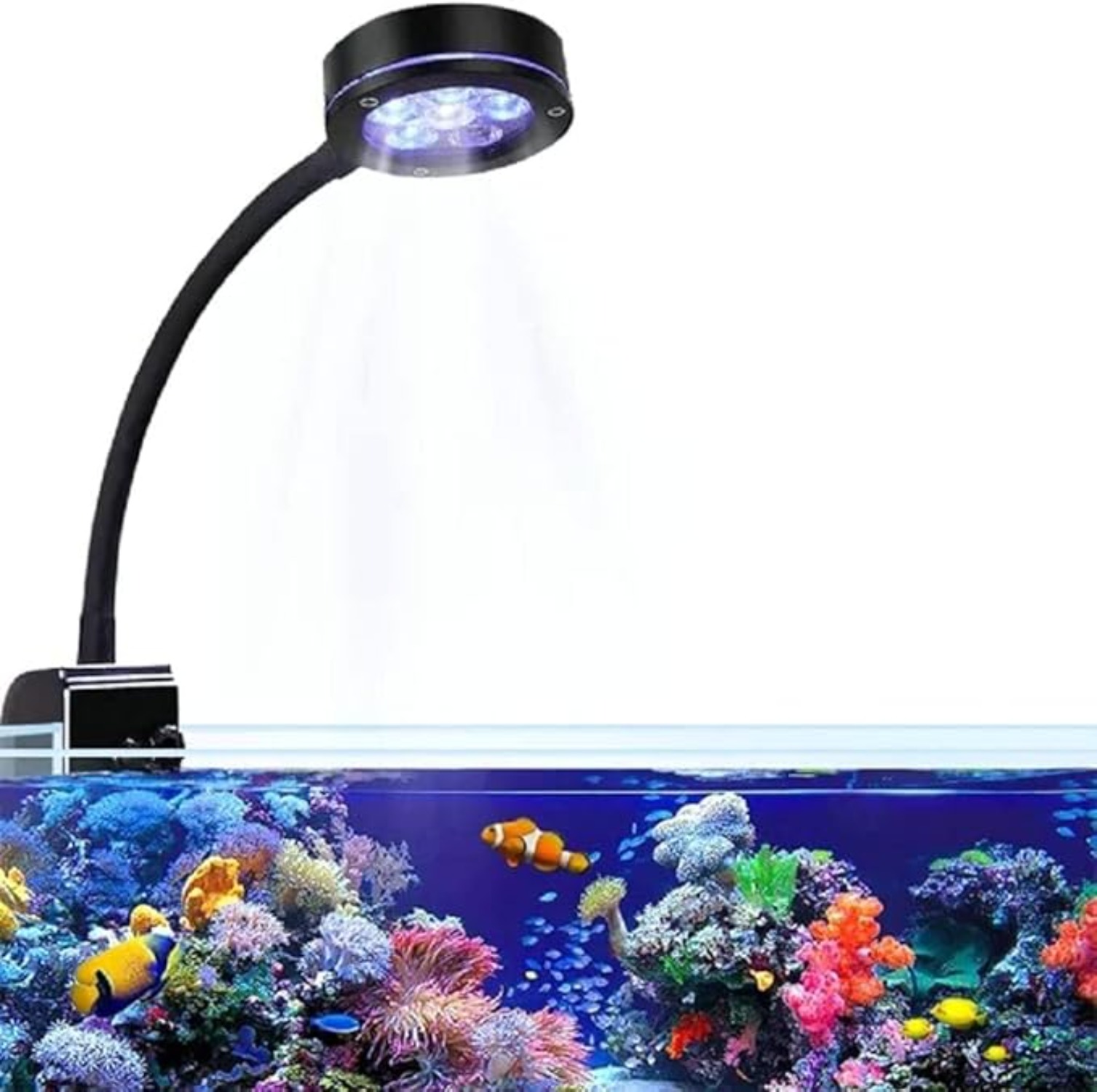 Aquarium LED Coral Reef Light  - Aquarium Blue Marine Reef avis et prix