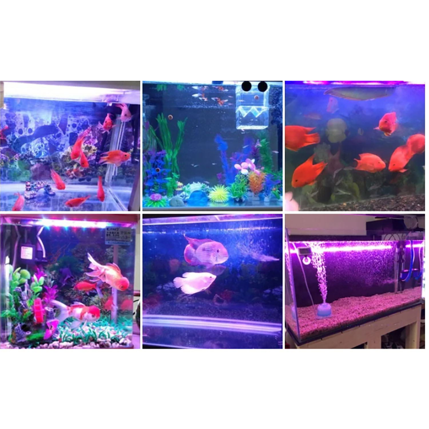 50W 60W 70W 100W RGB 26-28V Hi - Aquarium Blue Marine avis et prix