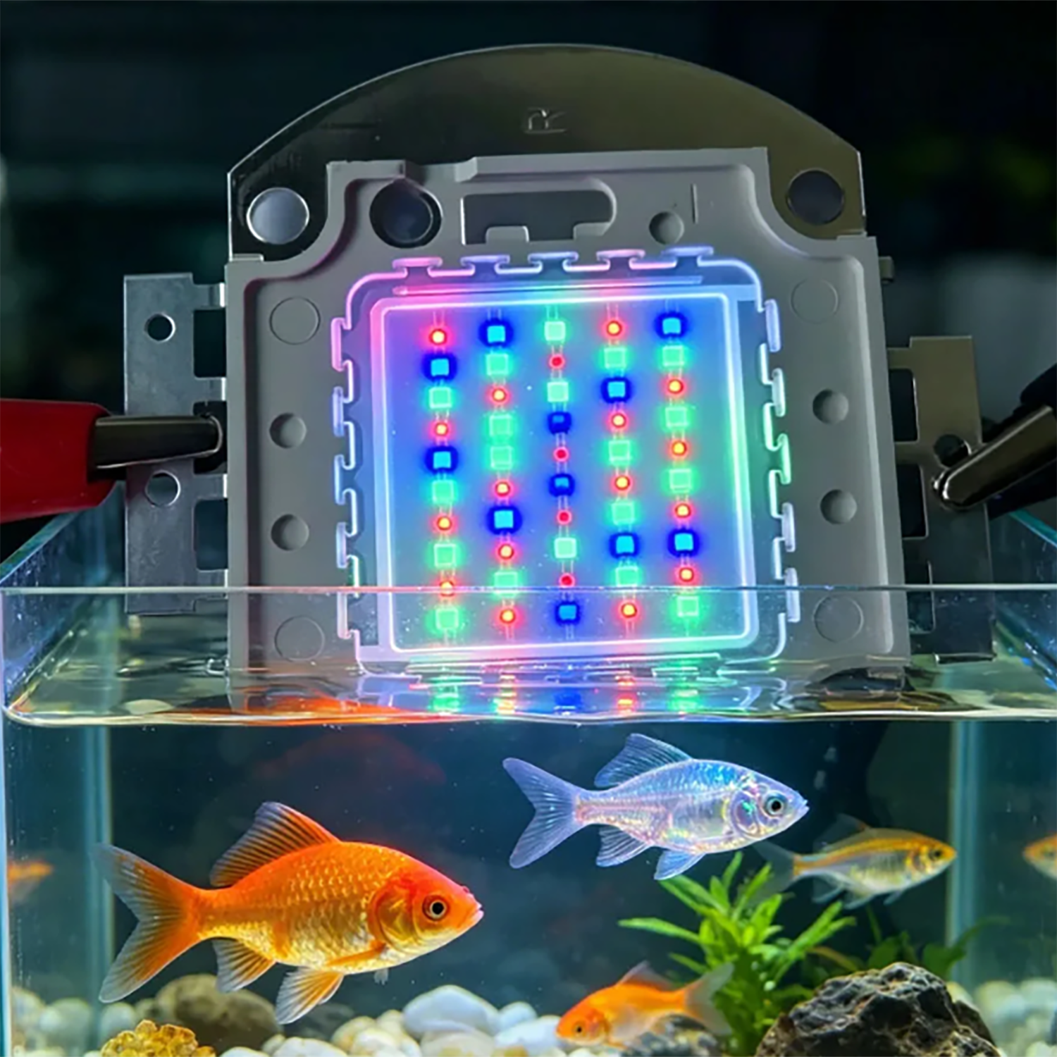 50W 60W 70W 100W RGB 26-28V Hi - Aquarium Blue Marine avis et prix