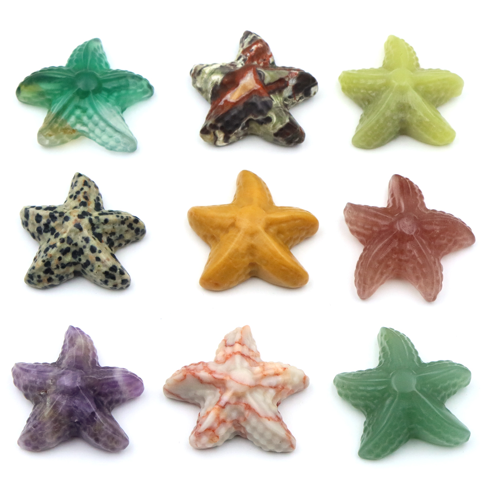 35mm Starfish Shape Statue Mar - Marine Aquarium & Regional Centre avis et prix