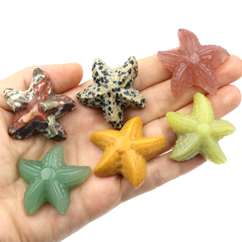 35mm Starfish Shape Statue Mar - Marine Aquarium & Regional Centre avis et prix