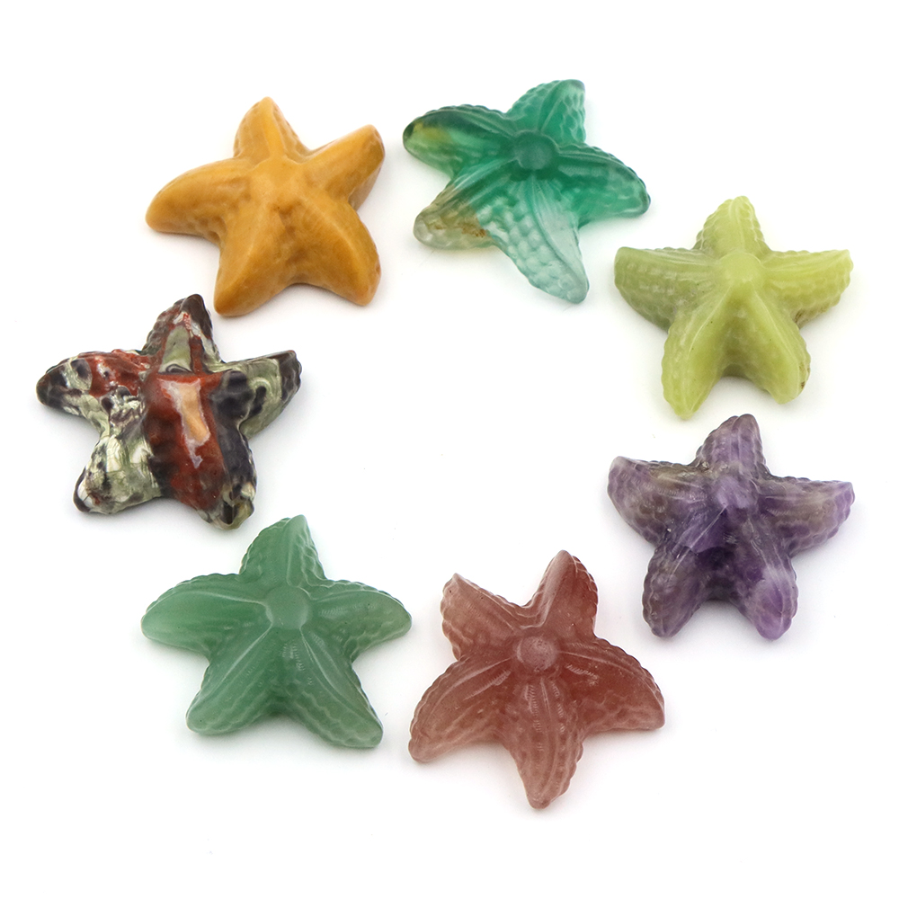 35mm Starfish Shape Statue Mar - Marine Aquarium & Regional Centre avis et prix
