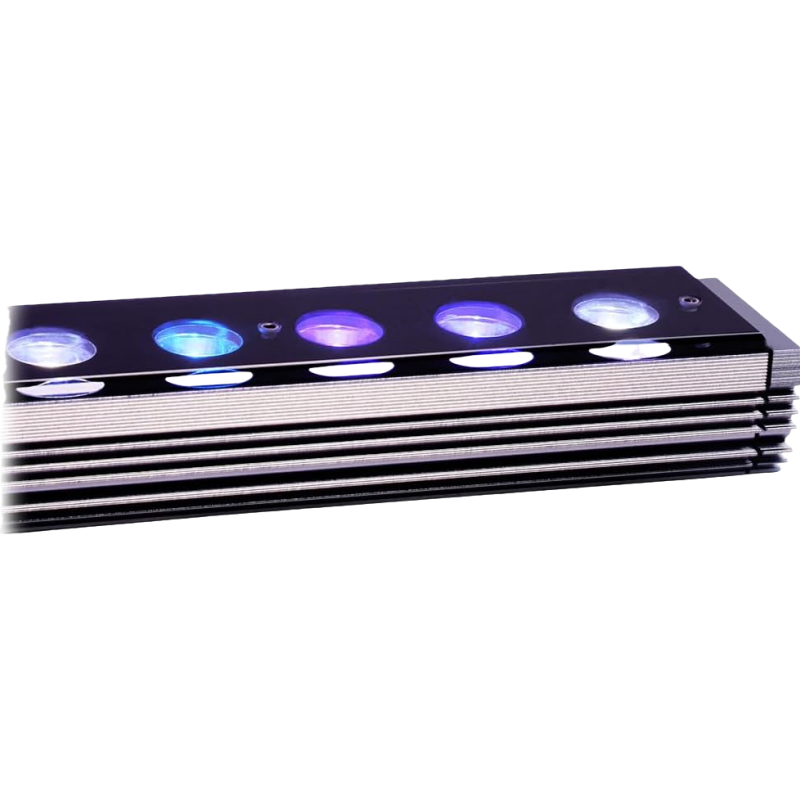 Reef Emitting Diode Aquarium 6 - Aquarium Blue Marine Reef avis et prix