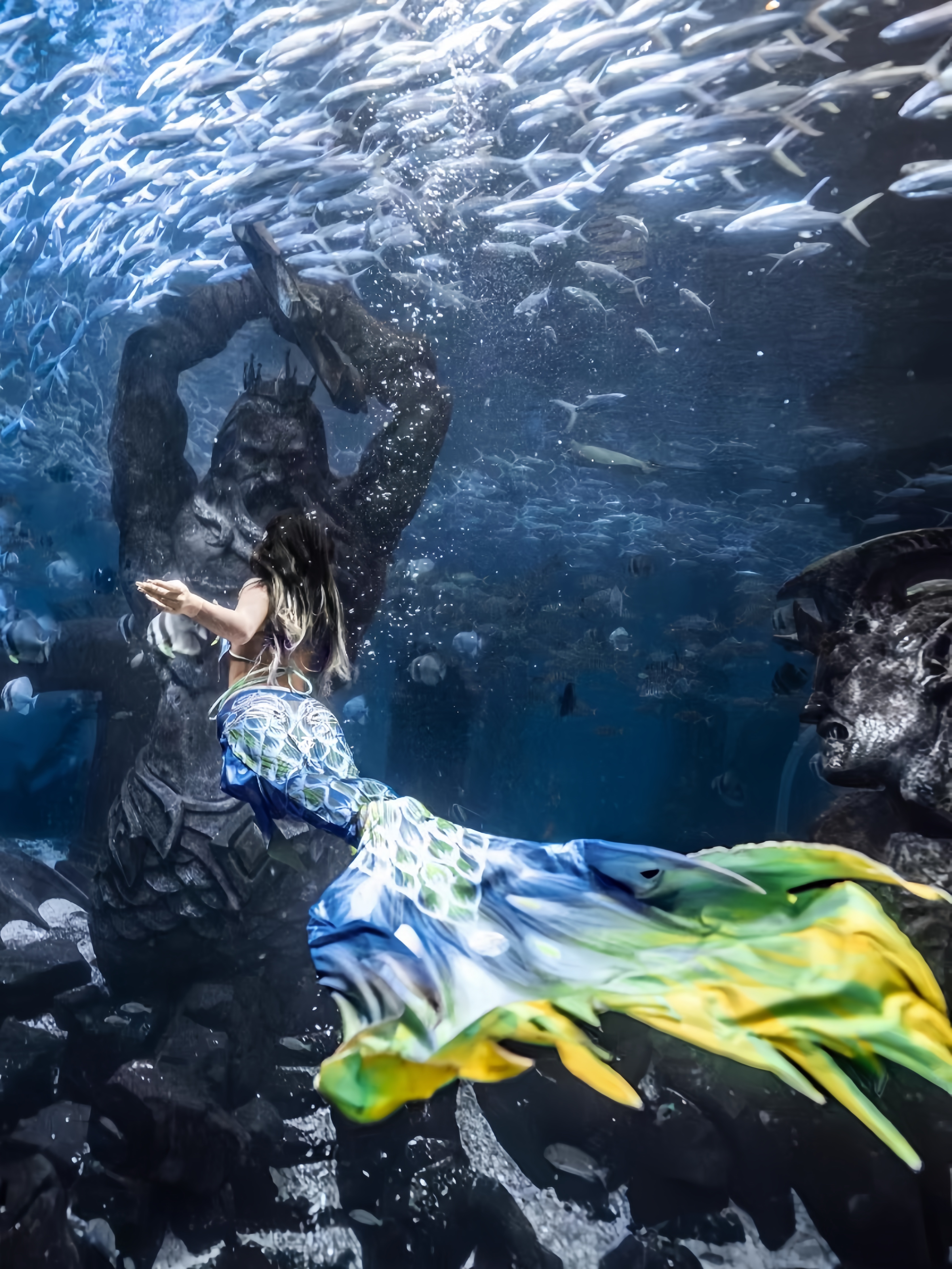 Mermaid Tail Adult Ladies Swim - Marine Aquarium Kit avis et prix