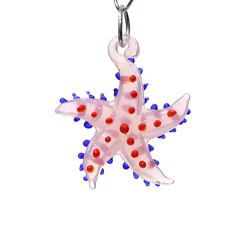 Cute Marine Animal Starfish Ch - Marine Aquarium & Regional Centre avis et prix