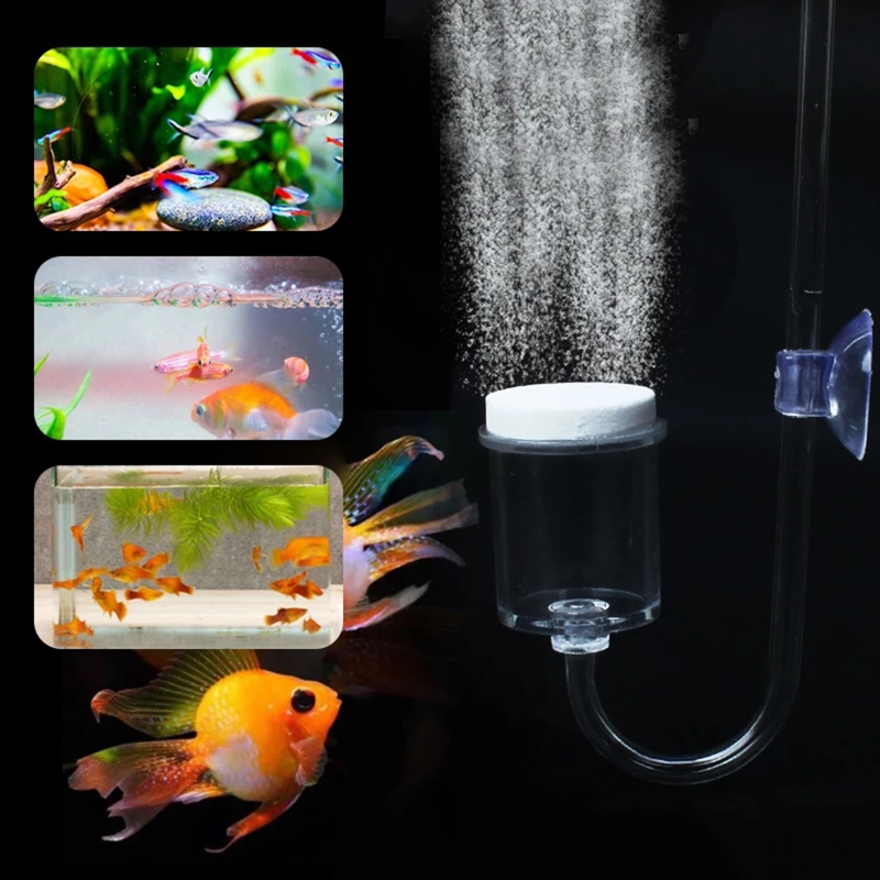 4pcs Set DIY CO2 Diffuser For  - Marine Aquarium Kit avis et prix