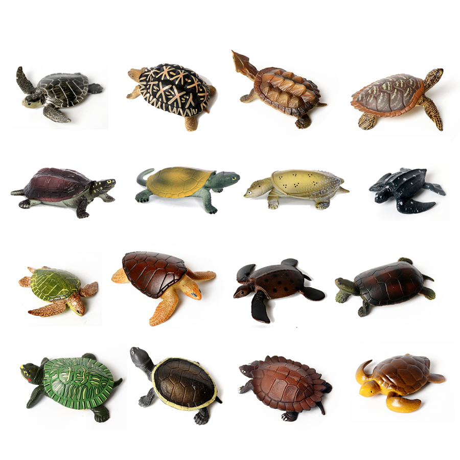 Realistic Miniatures Marine Li - Marine Aquarium & Regional Centre avis et prix