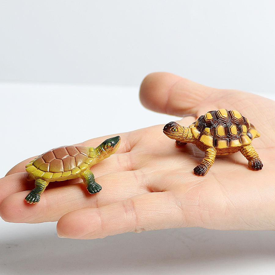 Realistic Miniatures Marine Li - Marine Aquarium & Regional Centre avis et prix