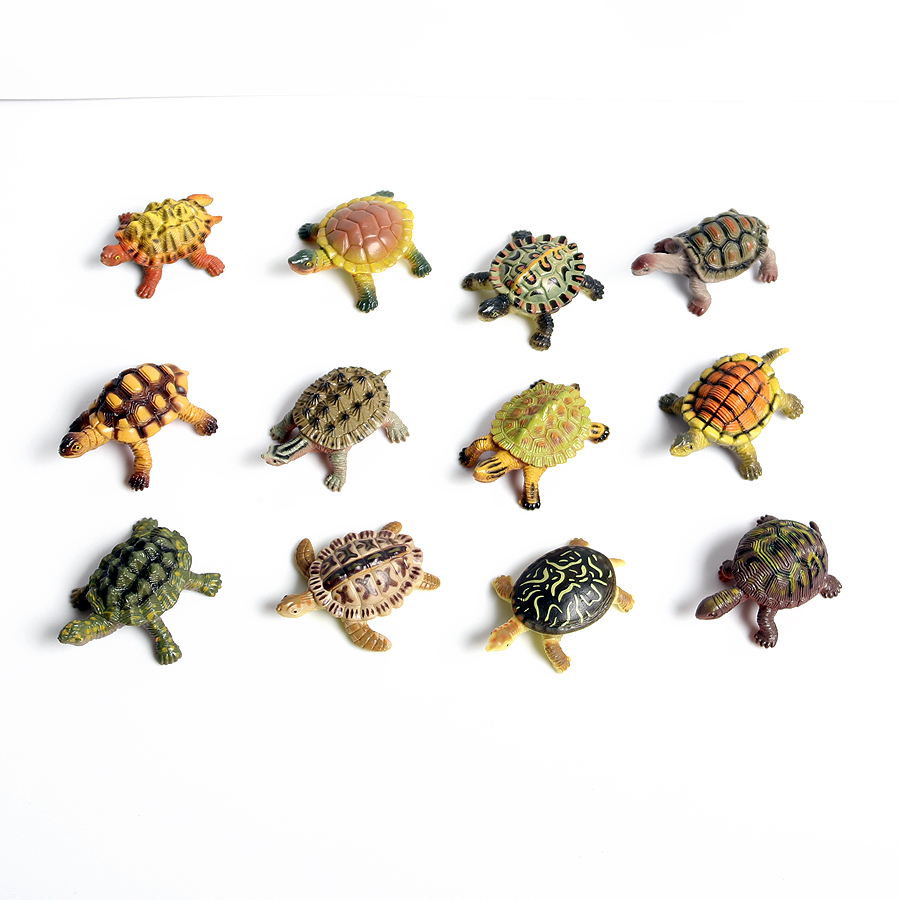Realistic Miniatures Marine Li - Marine Aquarium & Regional Centre avis et prix